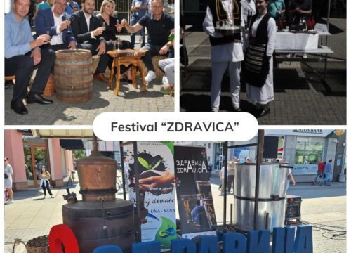 Festival Zdravica